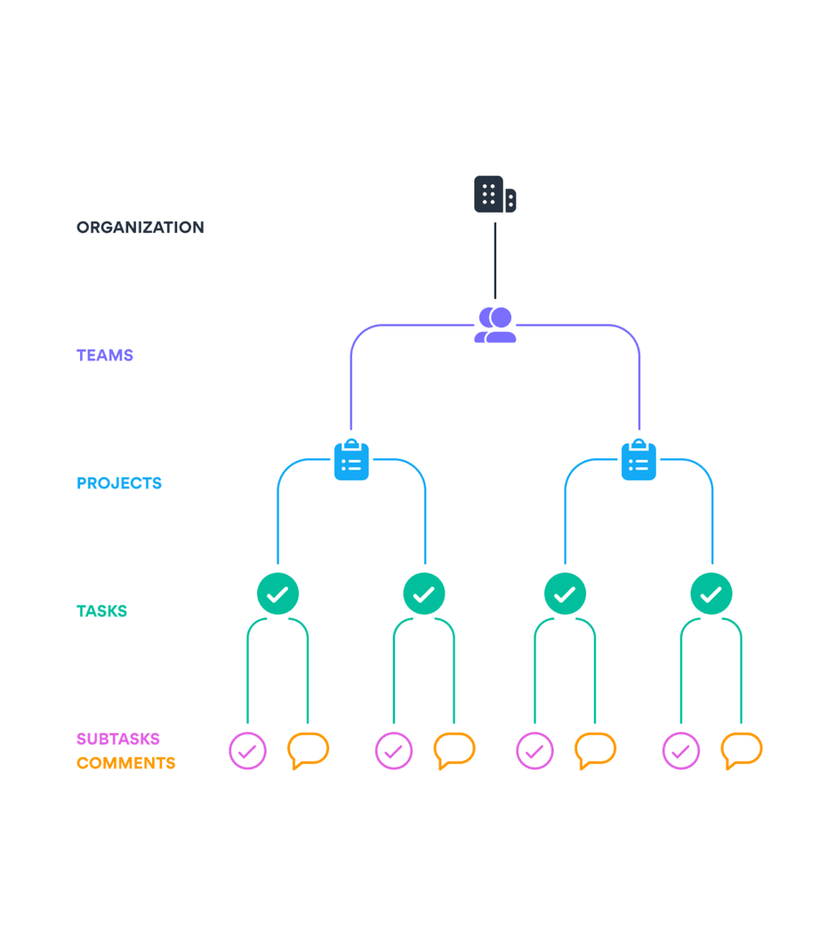 Asana Organisation Structure